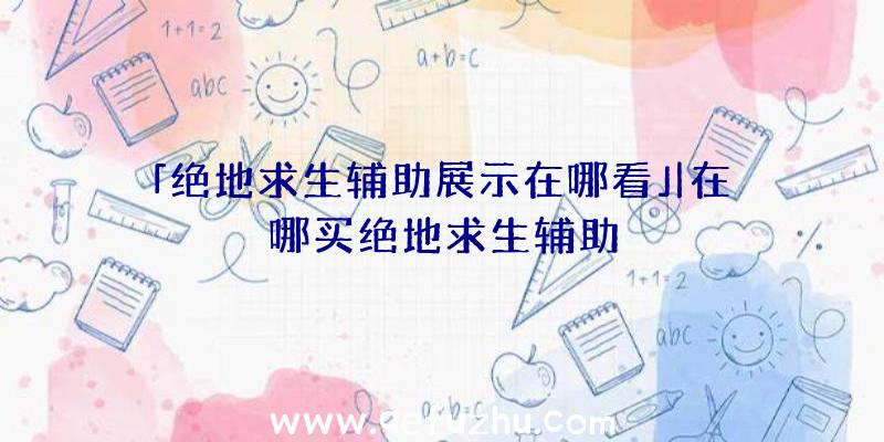 「绝地求生辅助展示在哪看」|在哪买绝地求生辅助